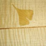 Yellowheart Ginko leaf.   All inlays are 1/8" thick.


