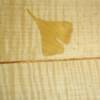 "Ginko Table" -   Inlaid Ginko leaf (yellowheart).
